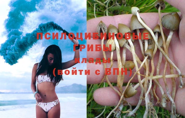 герыч Каменногорск