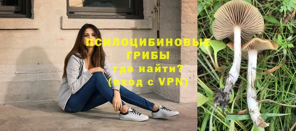 ECSTASY Каменск-Шахтинский