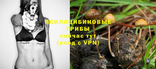герыч Каменногорск