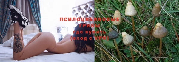 герыч Каменногорск