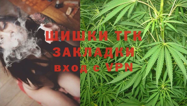 герыч Каменногорск