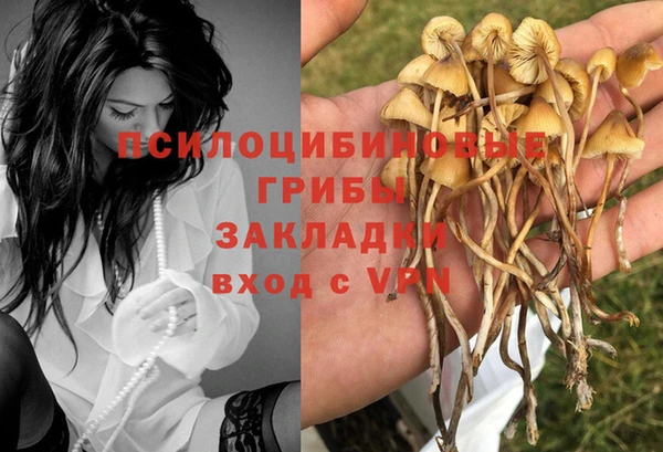 ECSTASY Каменск-Шахтинский