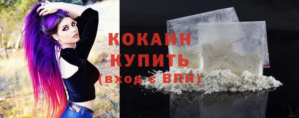 трава Каменка